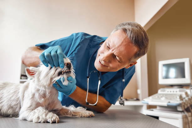 Best 24-Hour Emergency Dental Care in Vinita, OK
